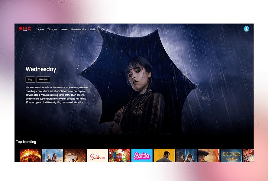 Netflix Clone using TMDB API